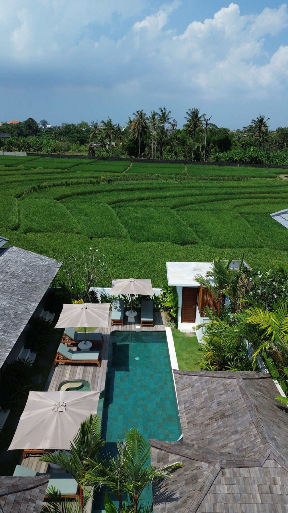 Nyanyi rice fields from above